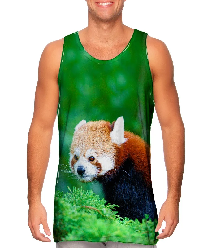 Trends Fancy Red Panda