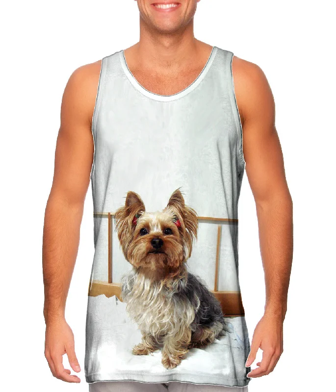 Exclusive Customization Fancy Yorkshire Terrier